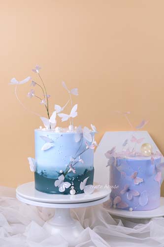 造型蛋糕培訓(xùn)廣西哪里有培訓(xùn),學(xué)費(fèi)需要多少錢學(xué)多久？